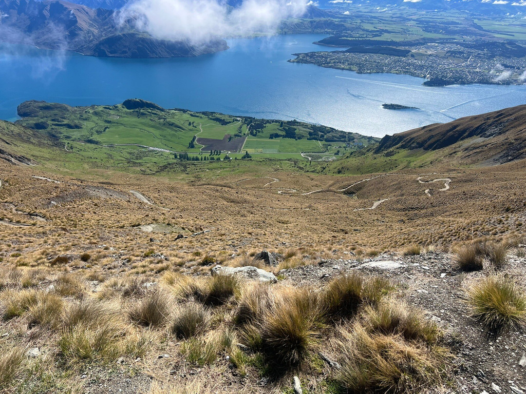 罗伊峰步行道-瓦纳卡必去景点