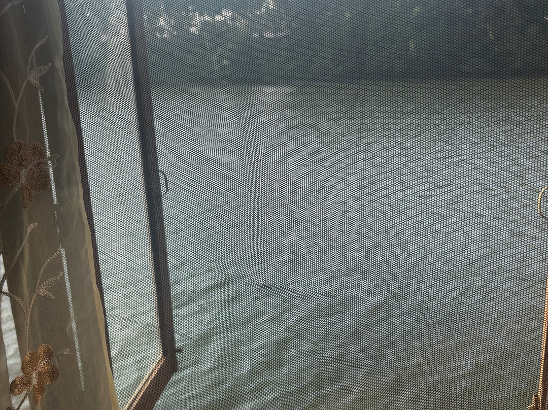 John's Boat Tours - Day Tours-坎多林必去景点