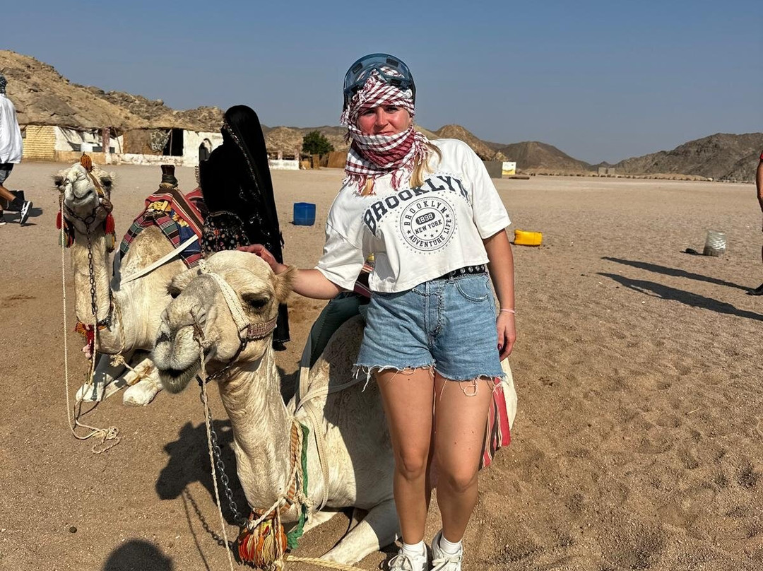 Scorpion Safari-赫尔格达必去景点