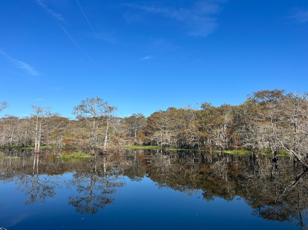 Midway Airboat Rides-Midway必去景点