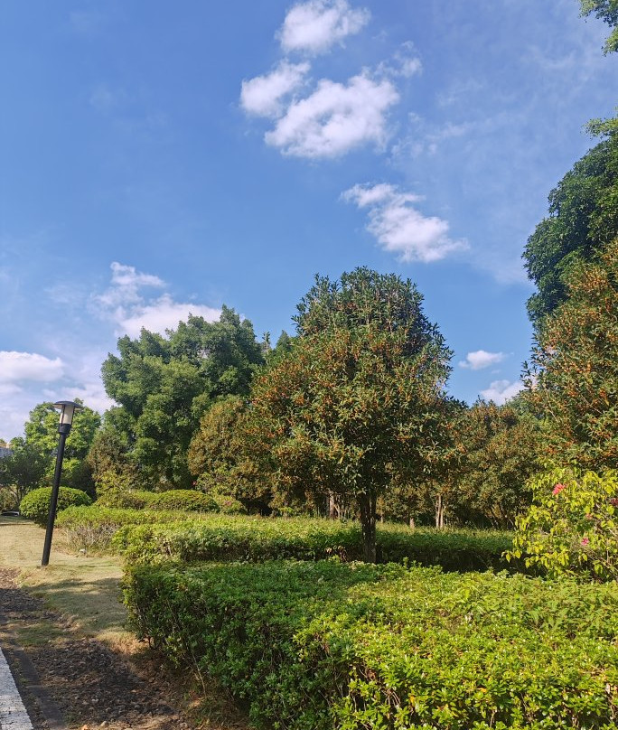 福建鲤鱼洲酒店主图