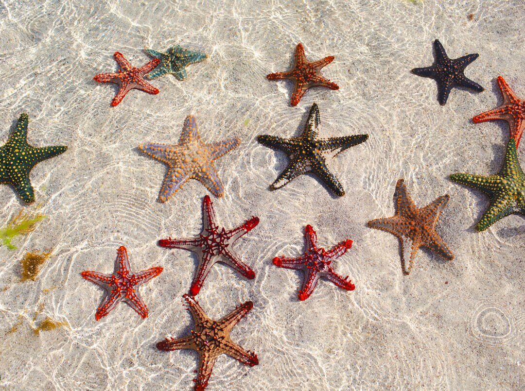 Sandarusi House主图