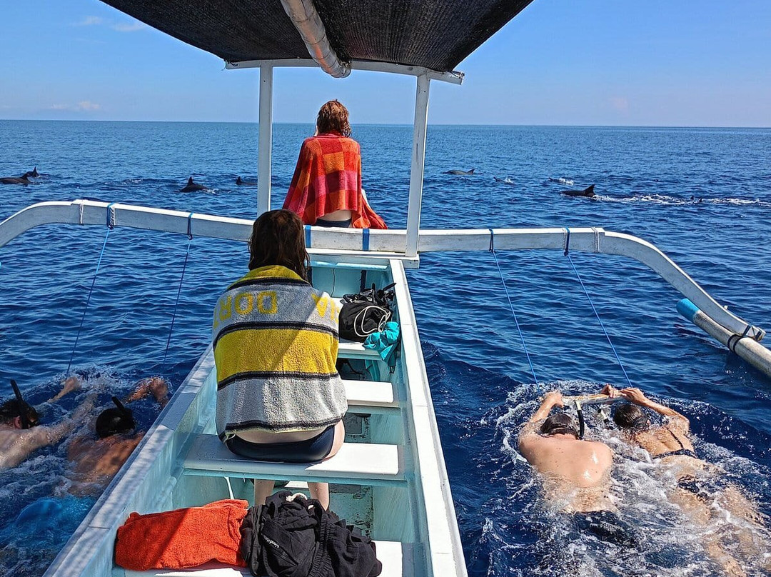 Dolphin Lovina tours-罗威那海滩必去景点