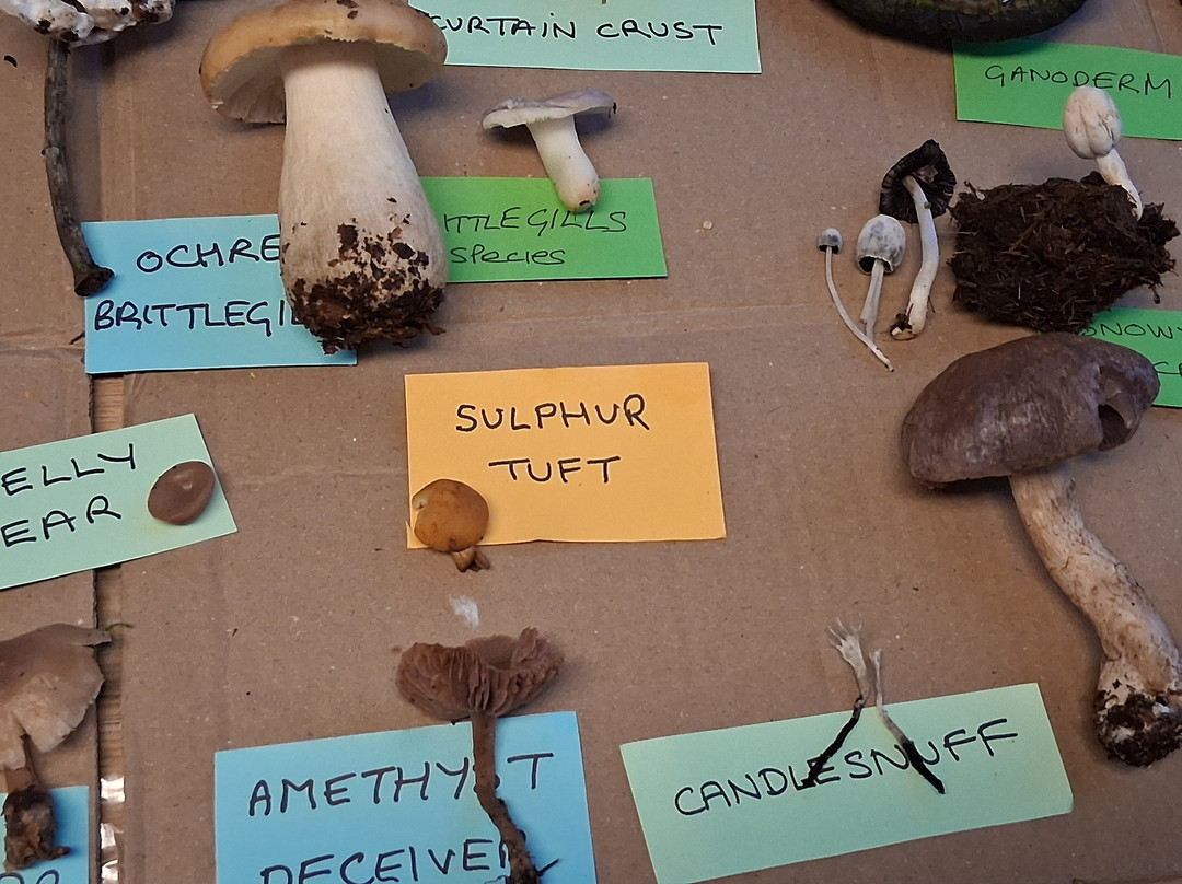 Hickling Broad-Hickling必去景点