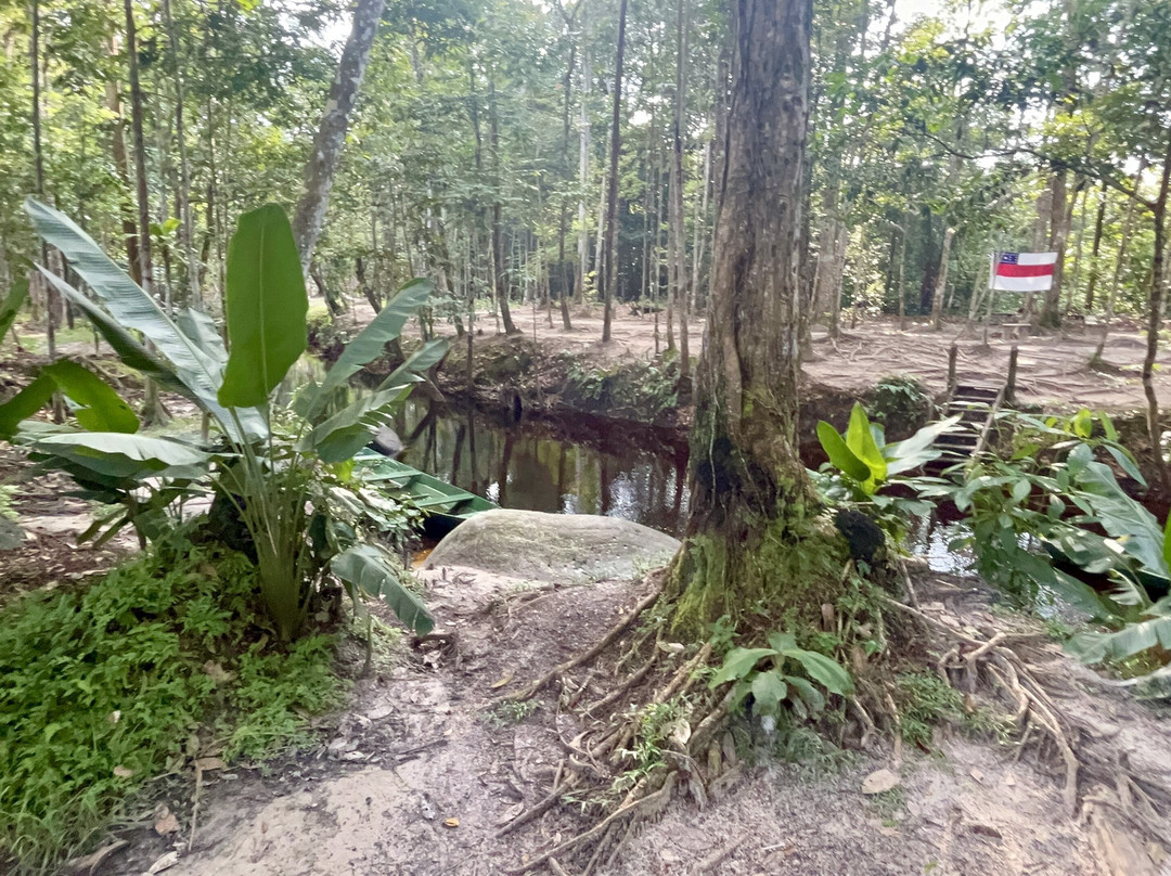 Cachoeira das Orquideas-Presidente Figueiredo必去景点