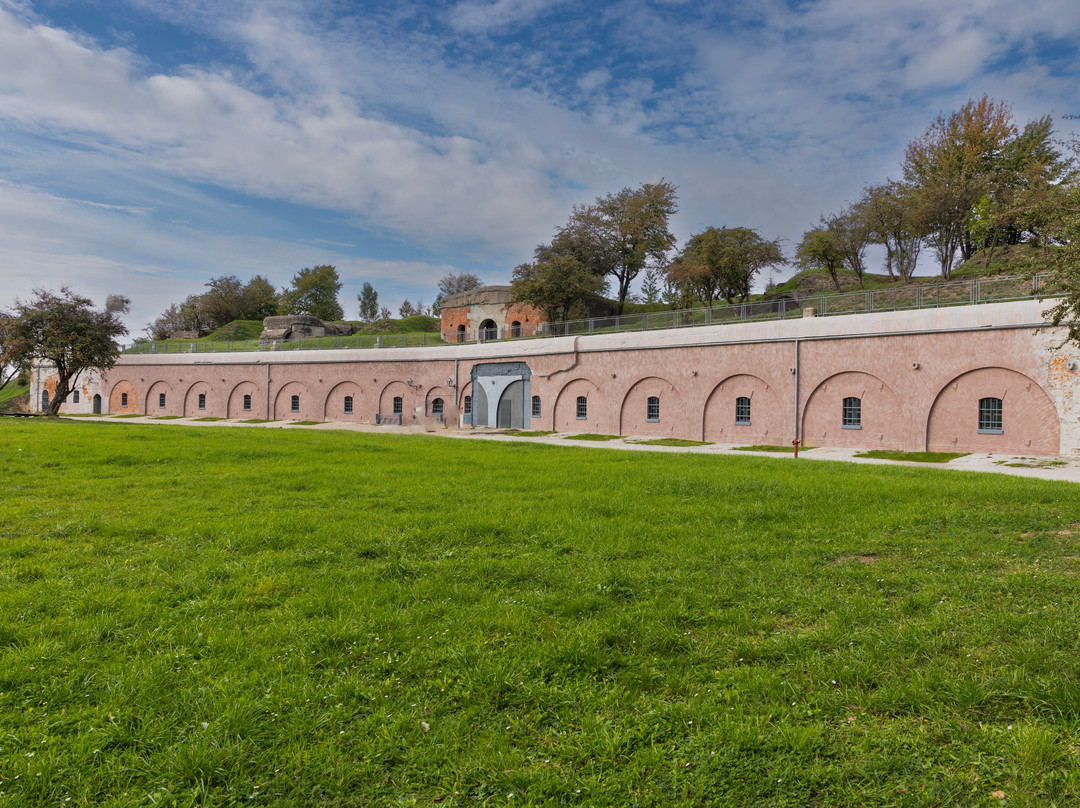 Przemyśl Cathedral & Basilica-Przemysl必去景点