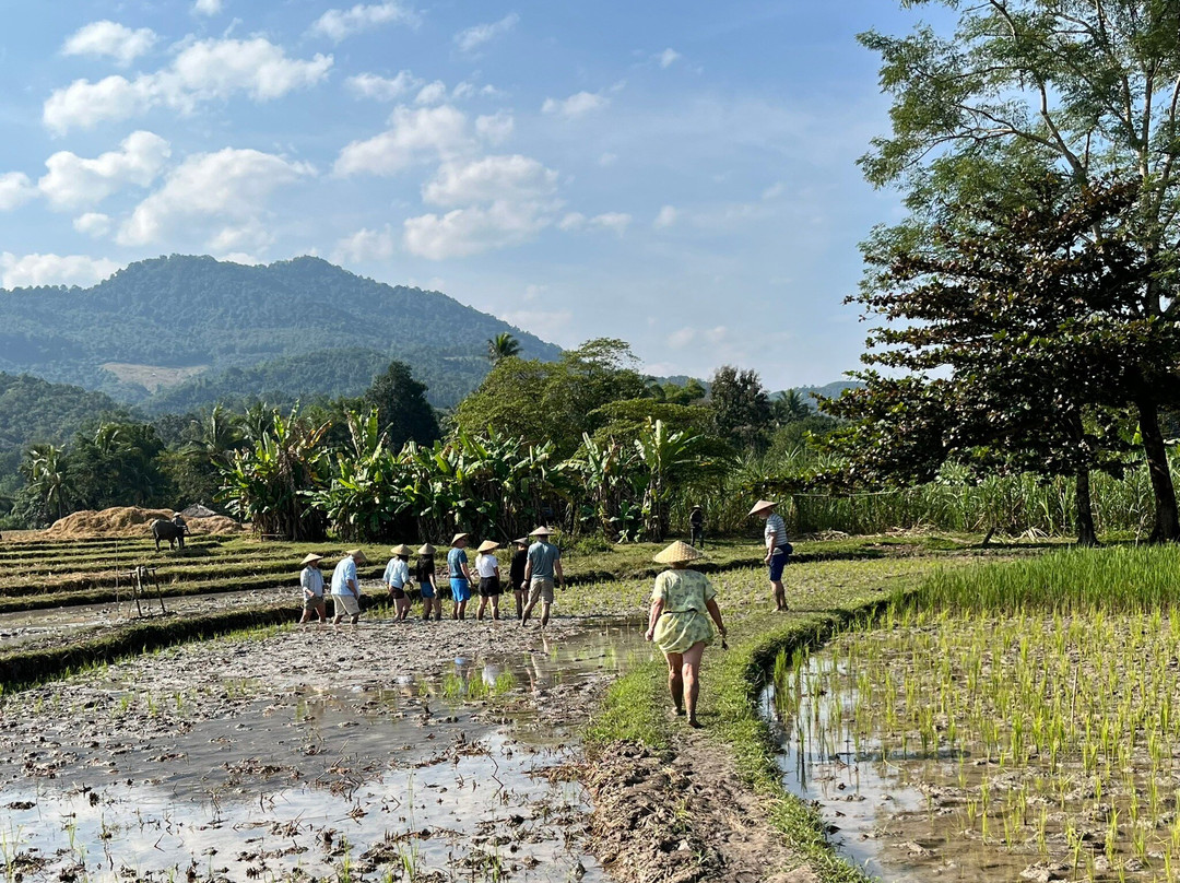 Living Land农场体验之旅-琅勃拉邦必去景点