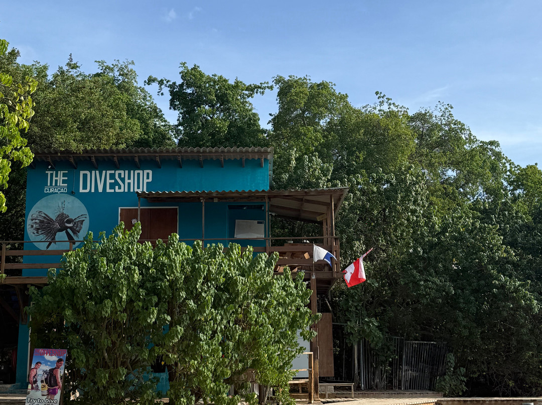 The Diveshop Curacao-威廉斯塔德必去景点
