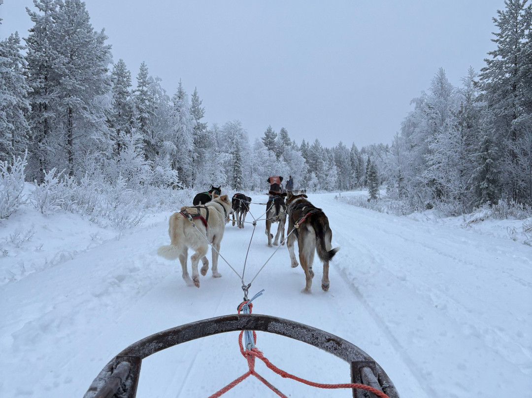 Maglelin Experience-Kittilä必去景点
