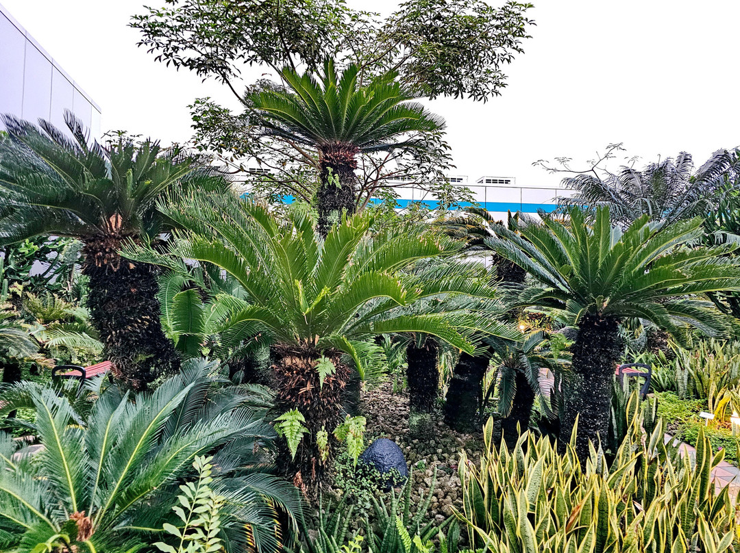 Cactus Garden-新加坡必去景点