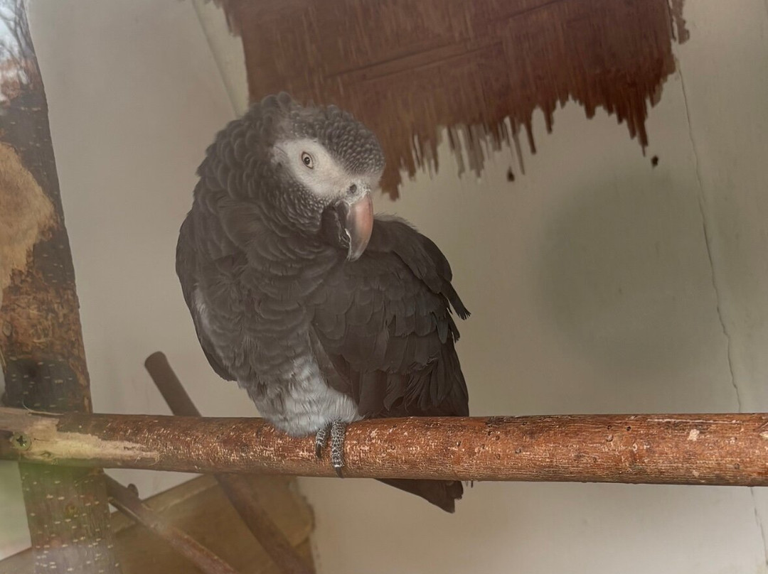 比尔公园-雷丁必去景点