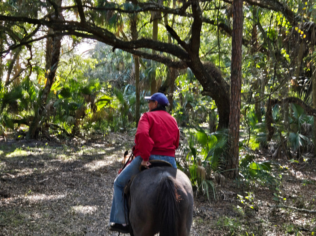 Wagon Wheel Horse Farm-奥基乔比必去景点