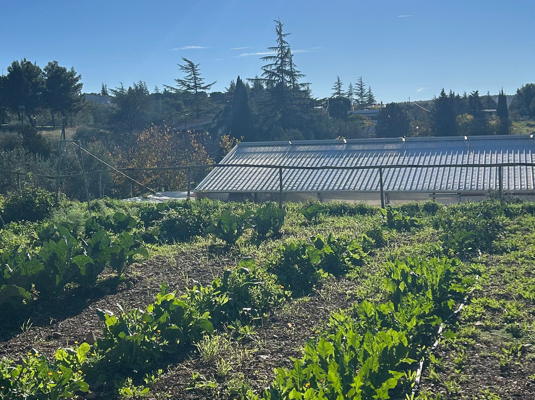 Azienda agricola Cali-安德里亚必去景点