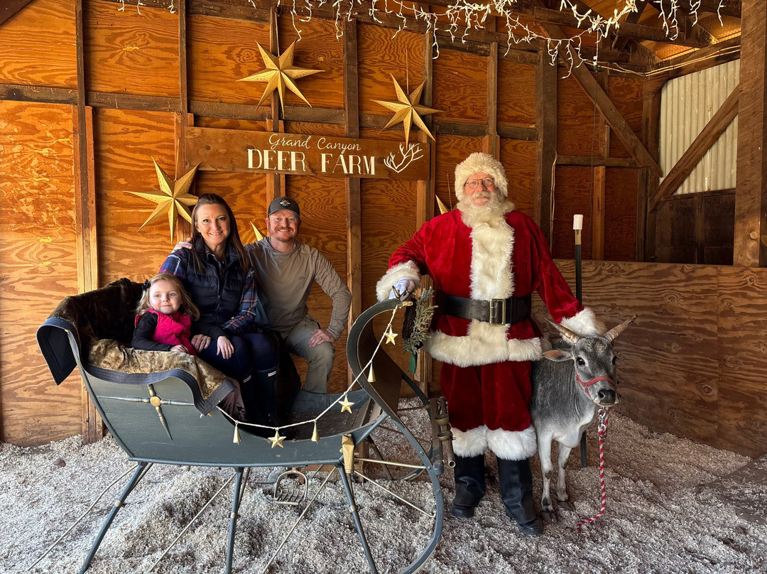 大峡谷鹿场-威廉姆斯必去景点