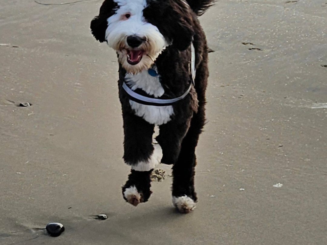 Comfort Inn and Suites Lincoln City主图