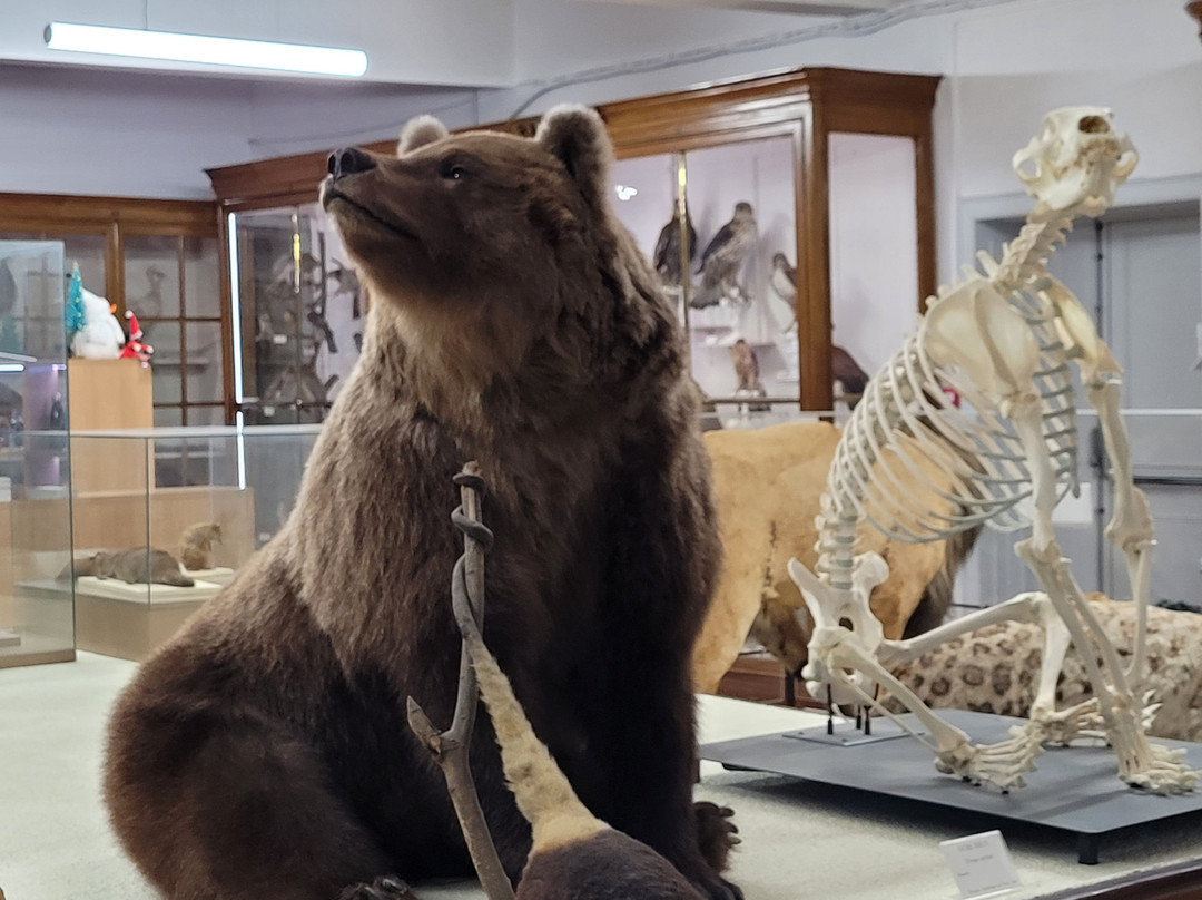 Le Musée d'Histoire Naturelle Victor Brun-蒙托邦必去景点