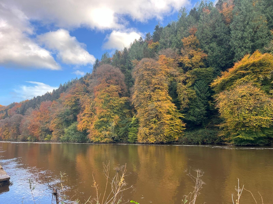 Kilkenny Eco Tours-Thomastown必去景点