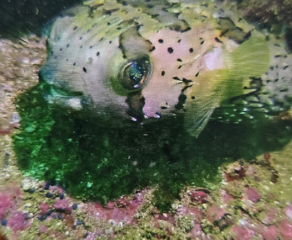 Huatulco Dive Center-瓦图尔科必去景点