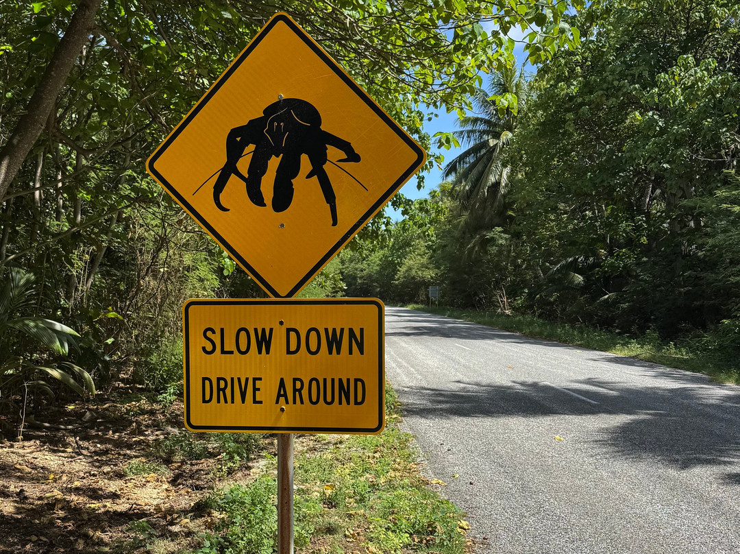 Indian Ocean Experiences-圣诞岛必去景点