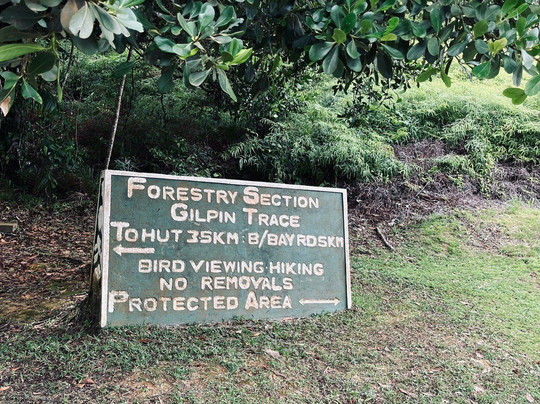 Peter Cox Wildlife Tours-多巴哥必去景点