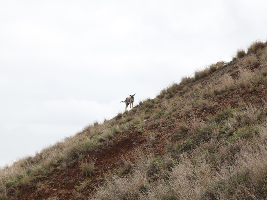 Porto Novo-Ribeira Grande Road-Porto Novo必去景点