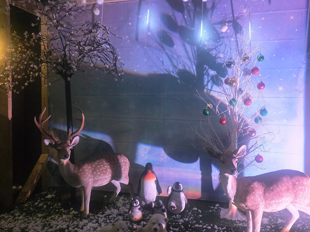 Santa's Grotto At Coolings Lifestyle-Knockholt必去景点