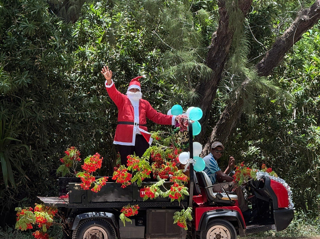 Croisières Australes-大湾必去景点