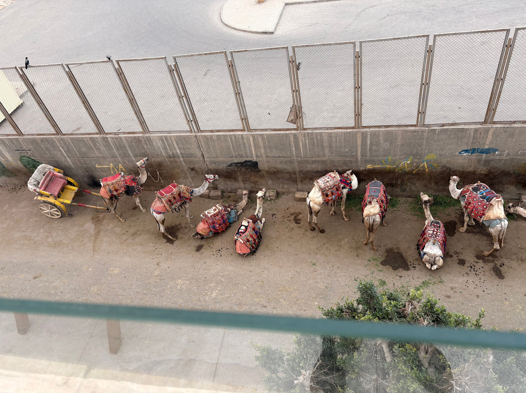 Capital Of Pyramids Hotel