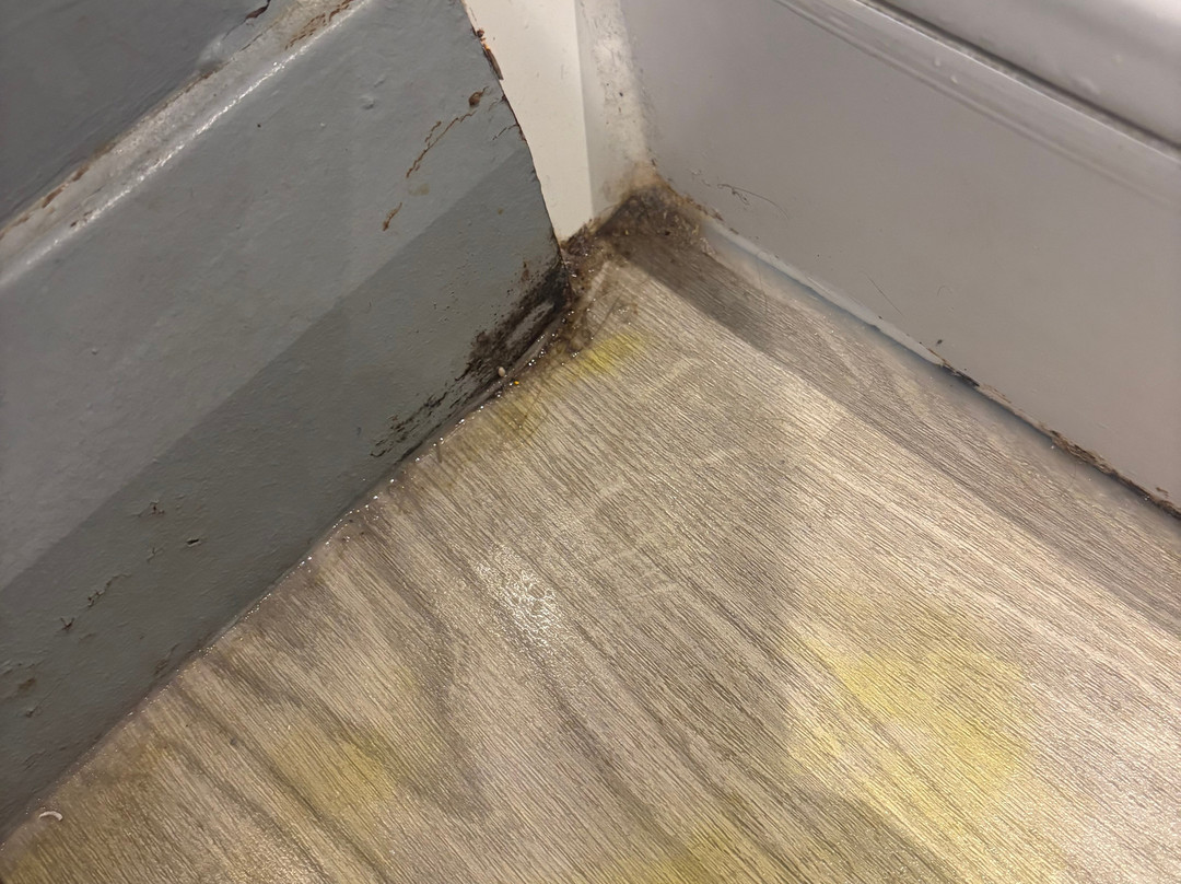 普瑞米尔肯德尔中央酒店主图