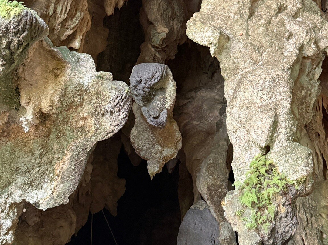 Coral Cave-拷索国家公园必去景点