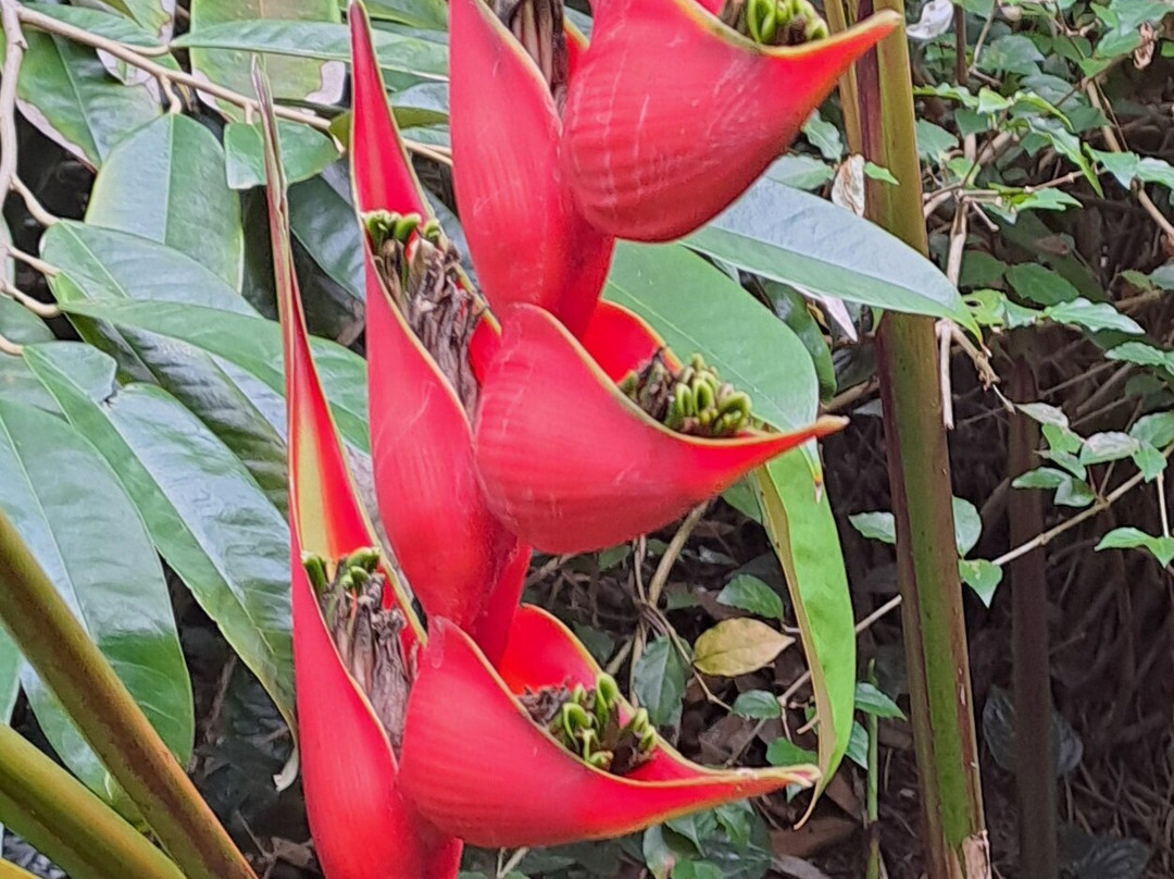 Jardin des Parfums et des Epices-Saint-Philippe必去景点