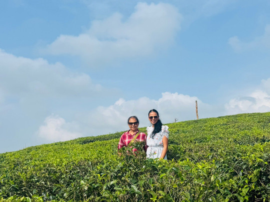 Southern Classic Tours-金奈（马德拉斯）必去景点