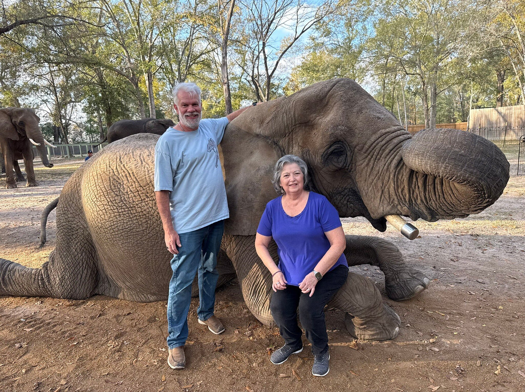 East Texas Elephant Experience-Cut and Shoot必去景点