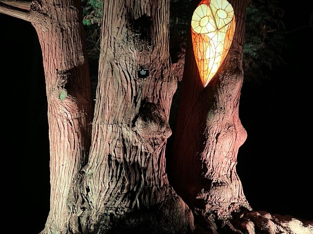 Wakehurst-Haywards Heath必去景点