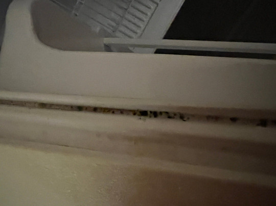 金斯波特三连机场拉昆塔套房酒店主图