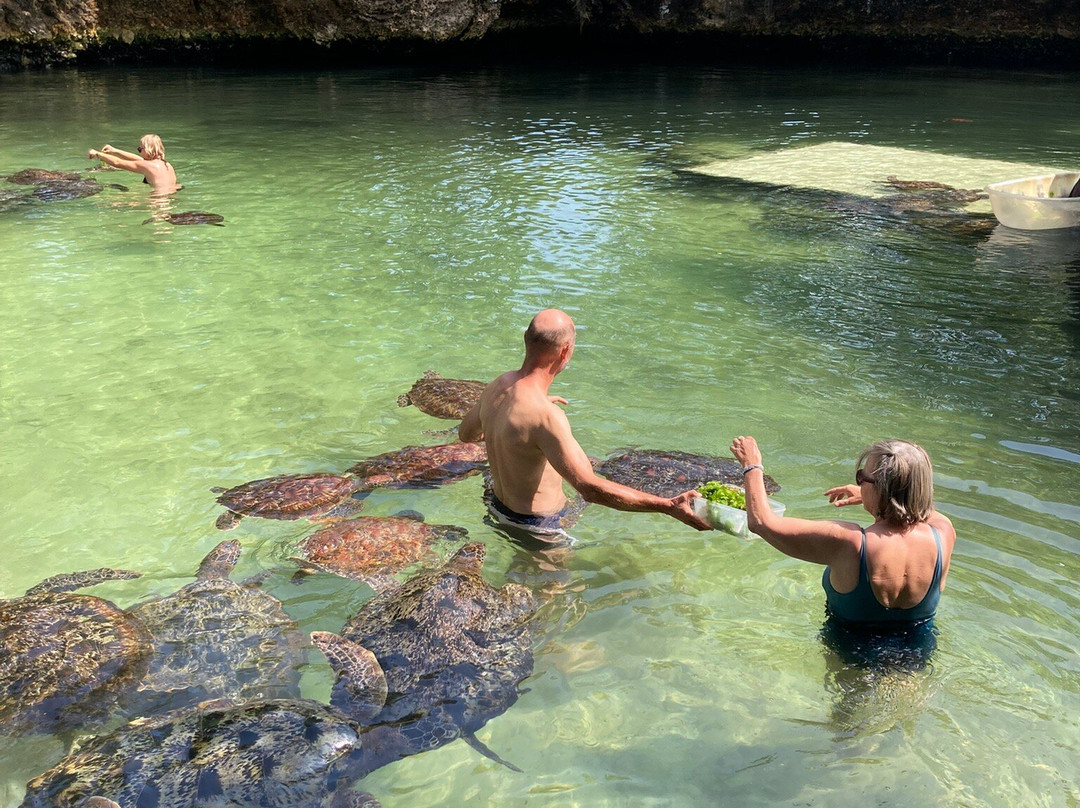 Nungwi Mnarani Aquarium-孥归必去景点