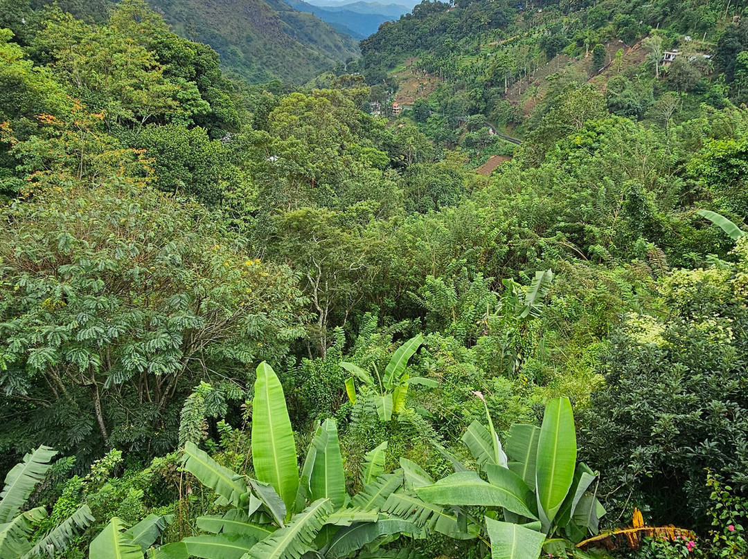 Travelers Choice To Ceylon-科伦坡必去景点