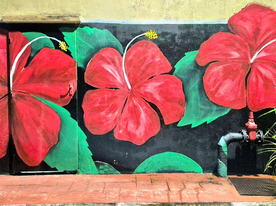 Graffiti Art Bandar Penggaram-峇株巴辖必去景点