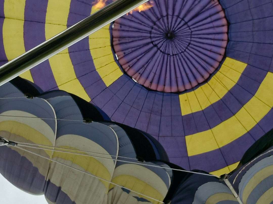 Drakensberg Ballooning-温特顿必去景点