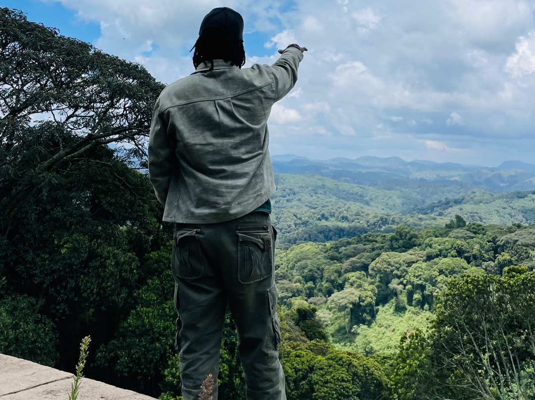 Nyungwe National Park - Rwanda-Western Province必去景点