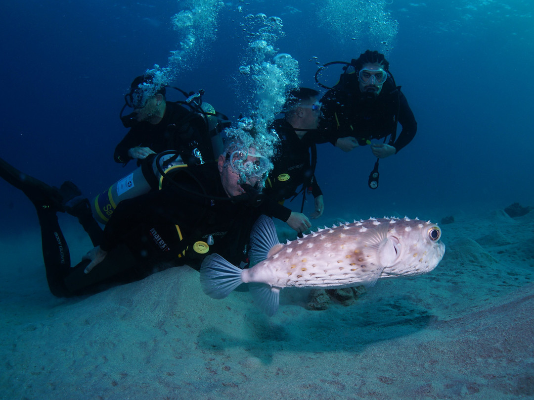 Nautilus Red Sea-埃拉特必去景点