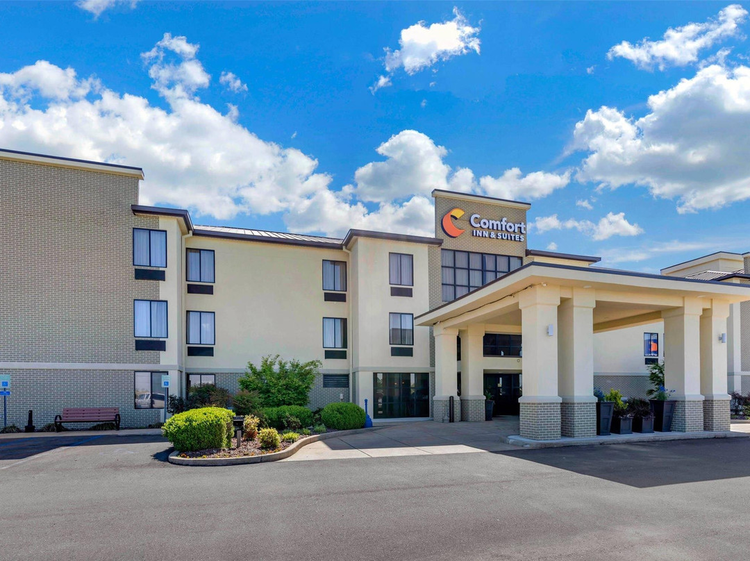 Comfort Inn & Suites Lincoln Talladega I-20