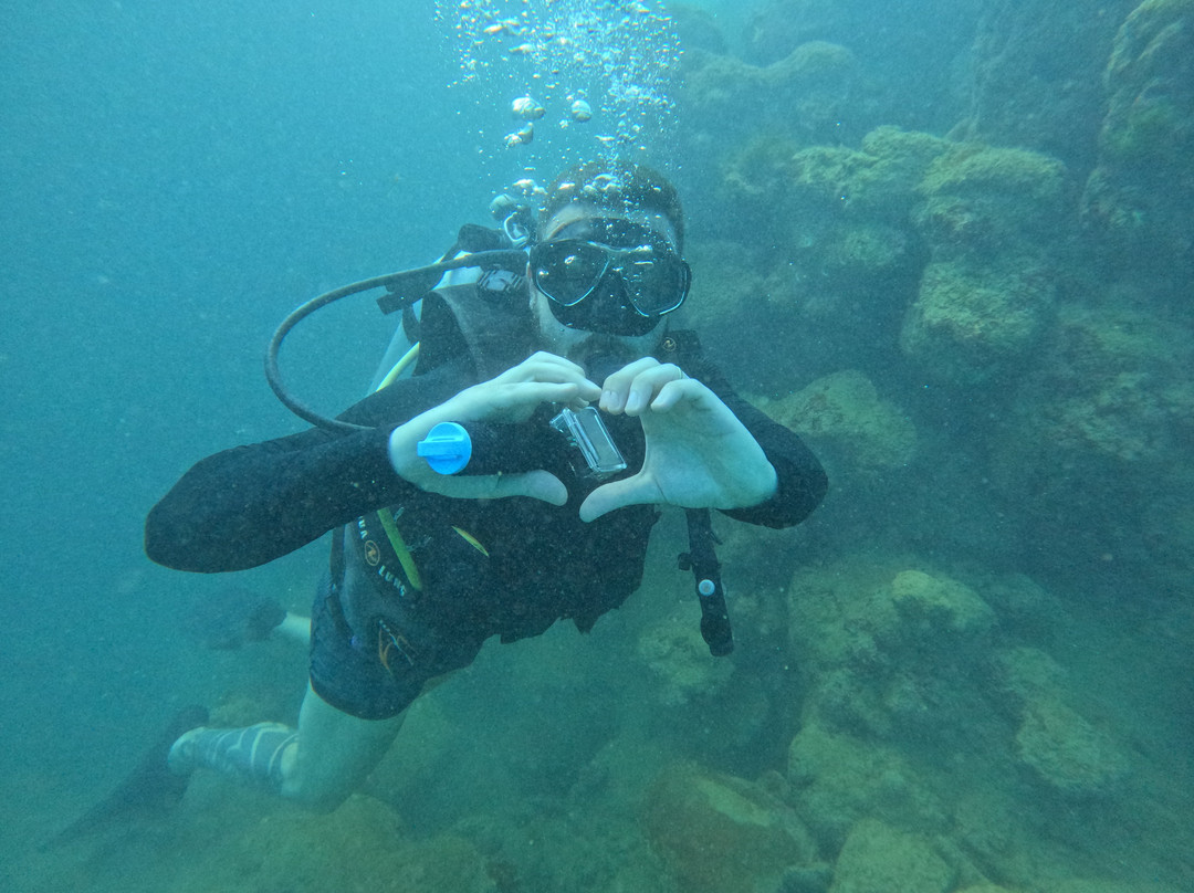 Deep Dive Adventures-嘎林海斯港必去景点