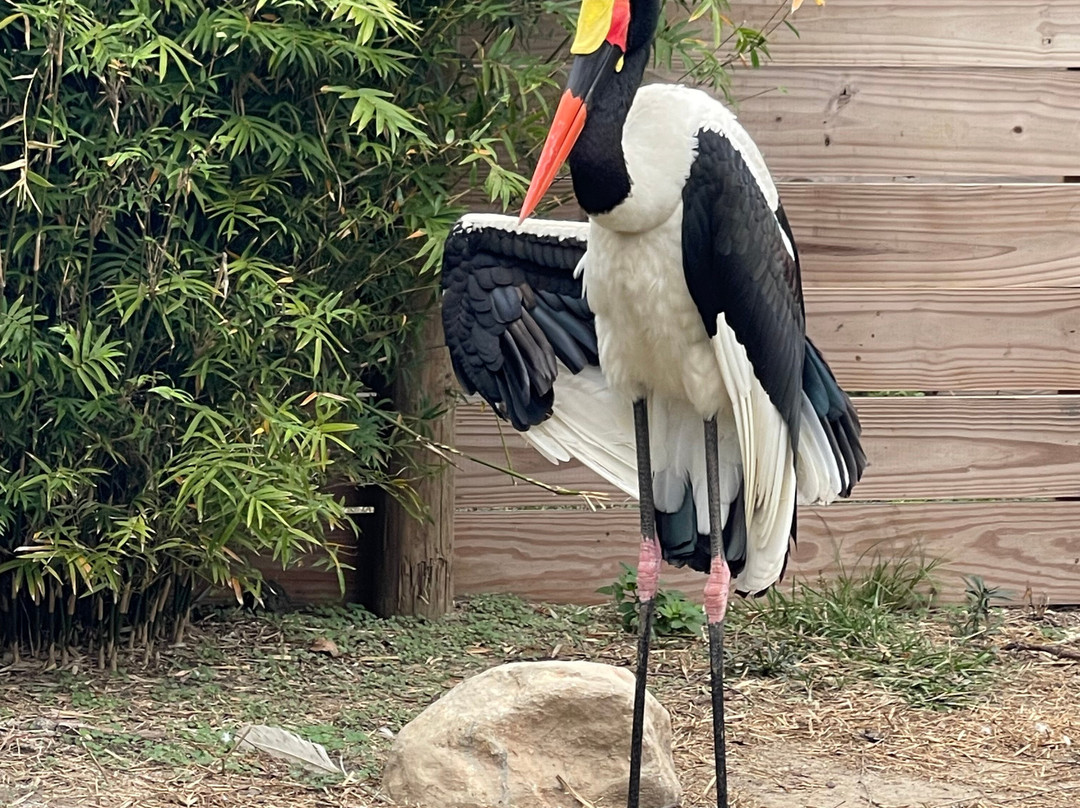 North Florida Wildlife Center-Lamont必去景点