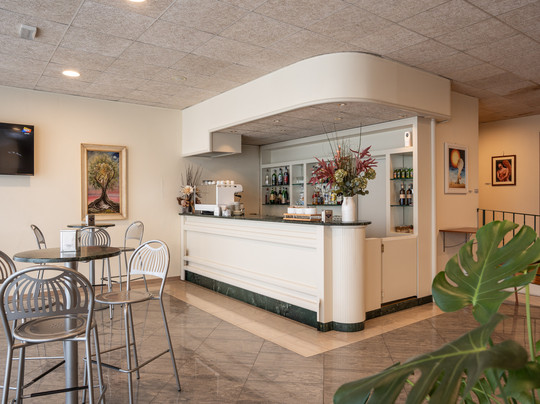 欧洲比萨东郁金香酒店主图