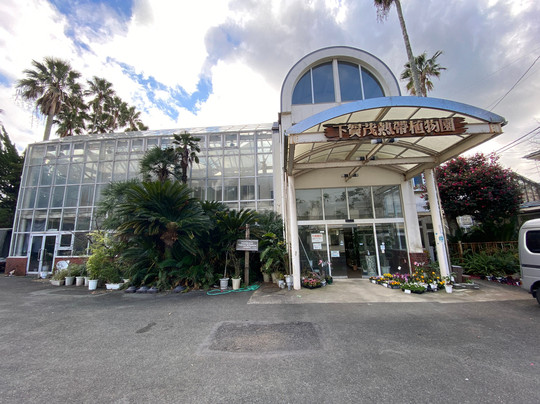 Shimokamo Tropical Garden-南伊豆町必去景点