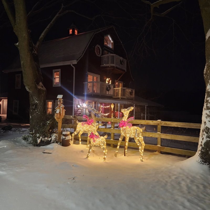 Chanticleer Guest House-官方