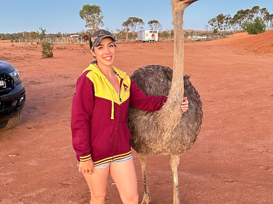 Silverton Outback Camels-Silverton必去景点