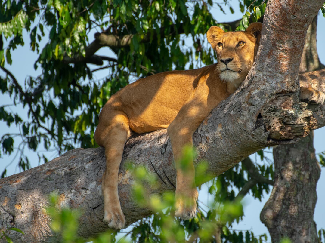 Queen Elizabeth National Park-Kasese必去景点