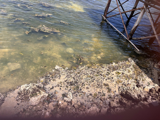 桑给巴尔海滩度假酒店主图